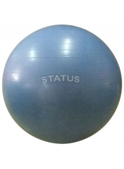 Status Мяч гимнастический 75 см с насосом голубой