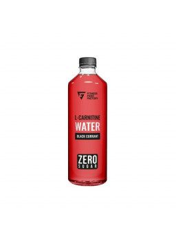 Fitness Food Factory L-Carnitine Water 