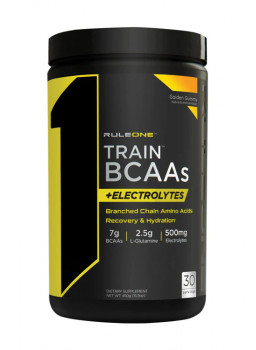 Rule One Proteins Train BCAAs+Electrolytes