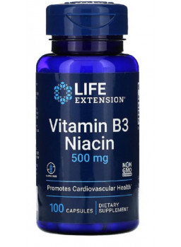 Life Extension Vitamin B3 Niacin 500 mg 