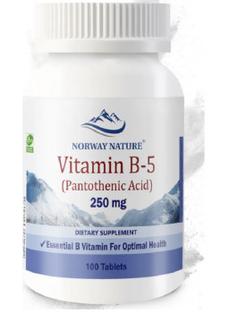 Norway Nature B-5 250 mg Pantothenic Acid 