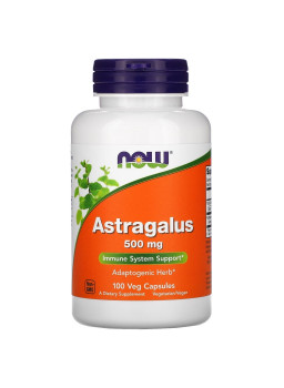 NOW  Astragalus 500mg.
